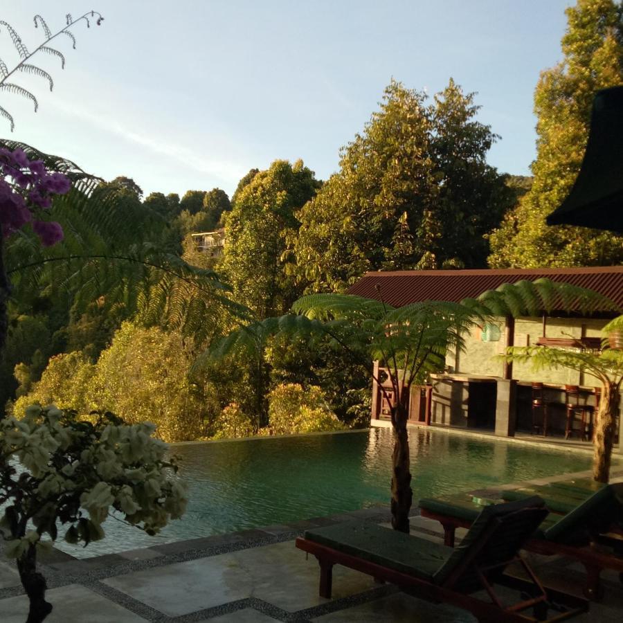 Отель Bintang Munduk Экстерьер фото